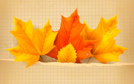 968383 (a): :2880x1800